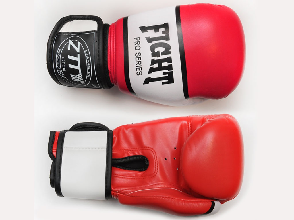 Перчатки боксёрские 14 oz.: PRO-F-К-14#