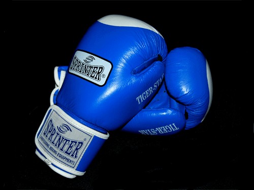 Перчатки бокс SPRINTER TIGER-STAR. Цвет: синий и красный.  размер-вес 12