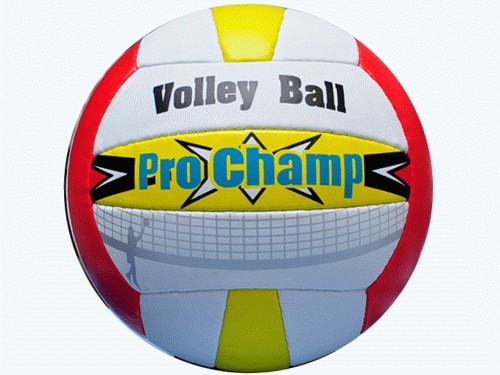 Мяч для волейбола ProChamp,