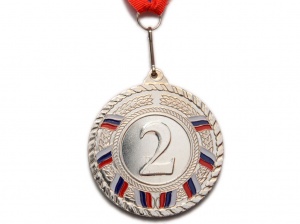 Медаль спортивная с лентой 2 место диаметр 6 см, с жетоном: Т6-2 купить оптом у поставщика sprinter-opt.ru